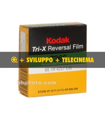 Tri-x 200 asa + sviluppo + telecinema in HD